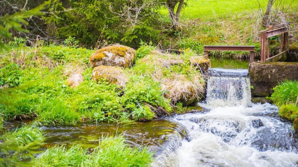 Schwarzwald Lodge Inselklause Schönwalde Esterno foto